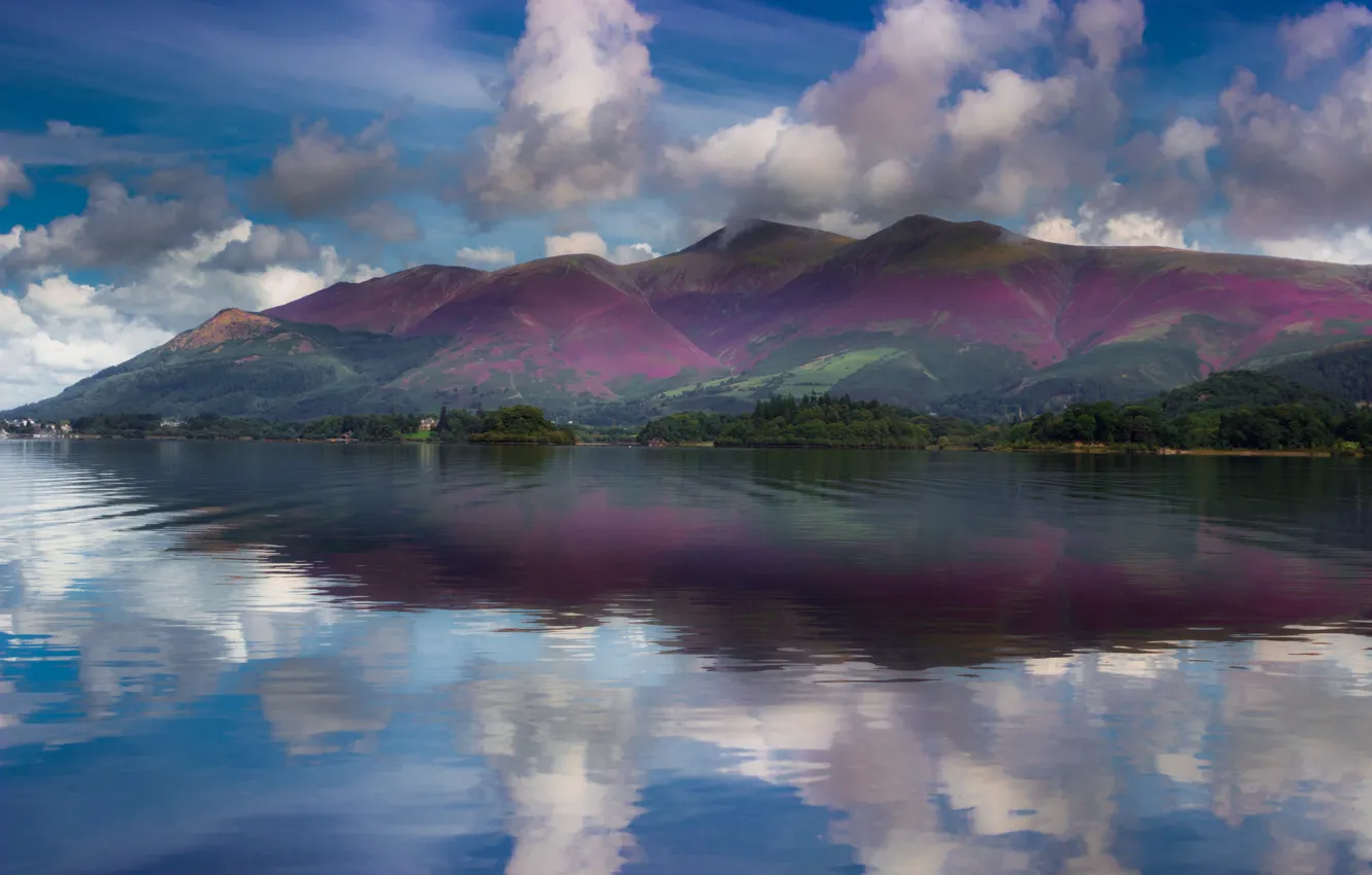 Photo wallpaper forest, the sky, clouds, flowers, mountains, fog, lake, reflection