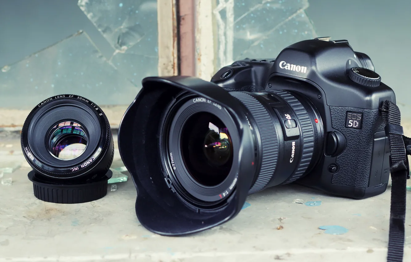 Photo wallpaper macro, background, camera