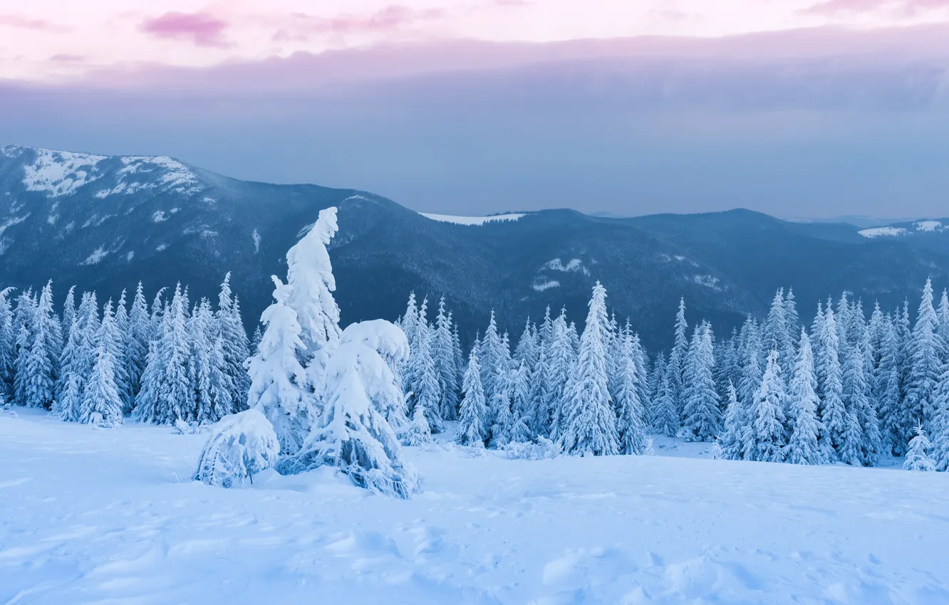 Photo wallpaper winter, forest, the sky, clouds, snow, landscape, mountains, clouds