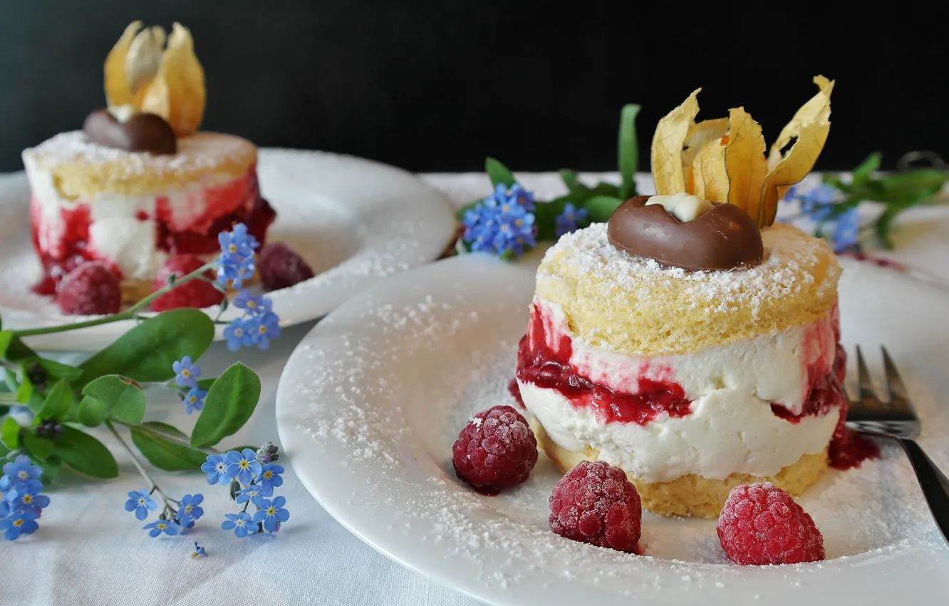 Photo wallpaper raspberry, physalis, cakes, mousse