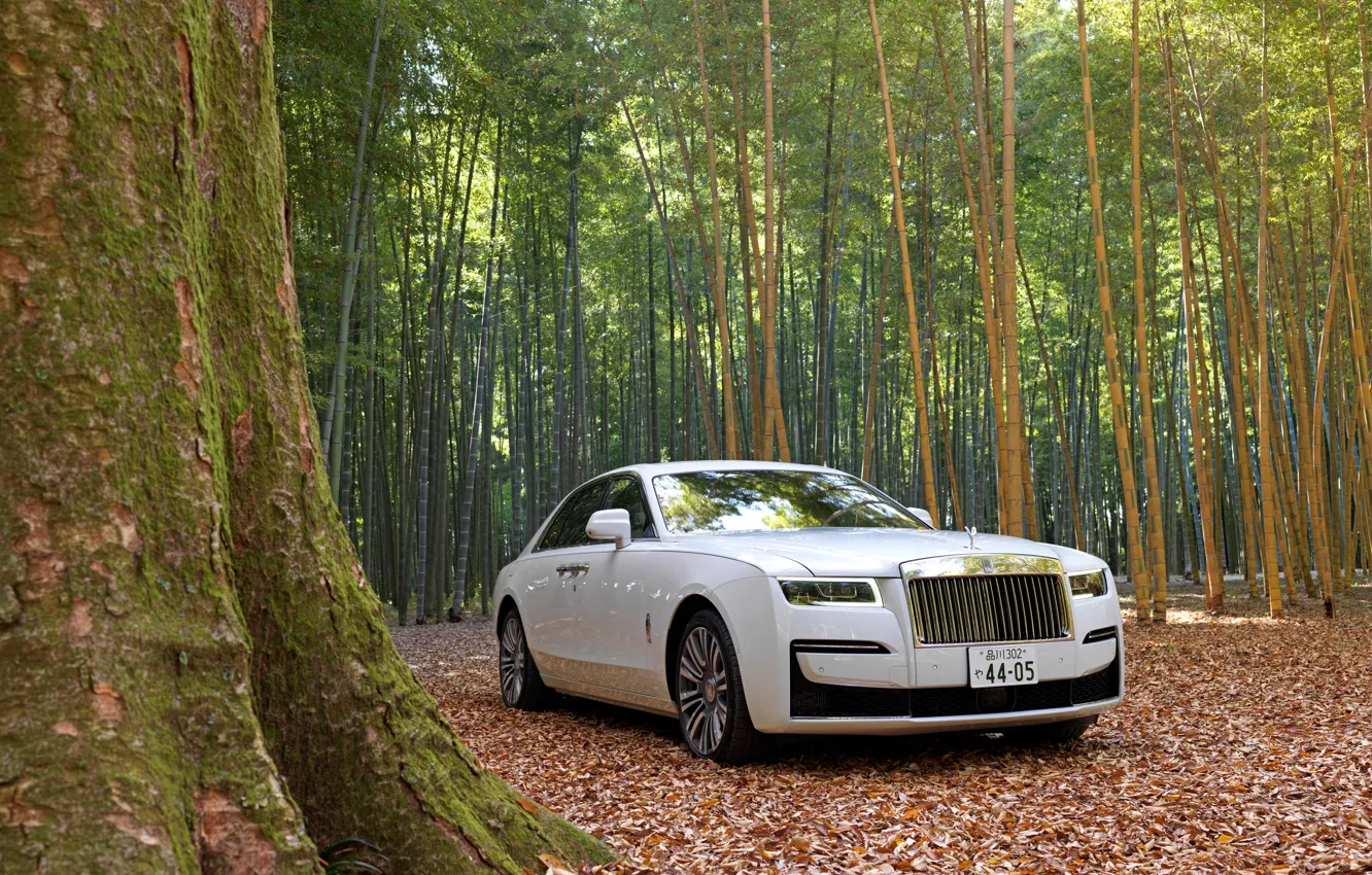 Photo wallpaper forest, white, nature, Rolls-Royce, Rolls-Royce Ghost