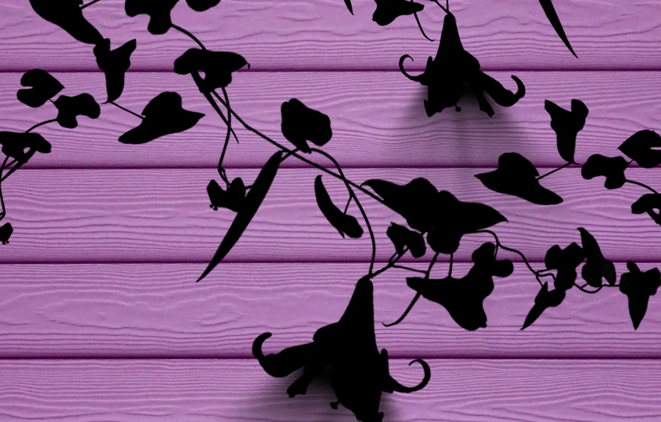 Photo wallpaper wall, flowers, violet, silhouettes