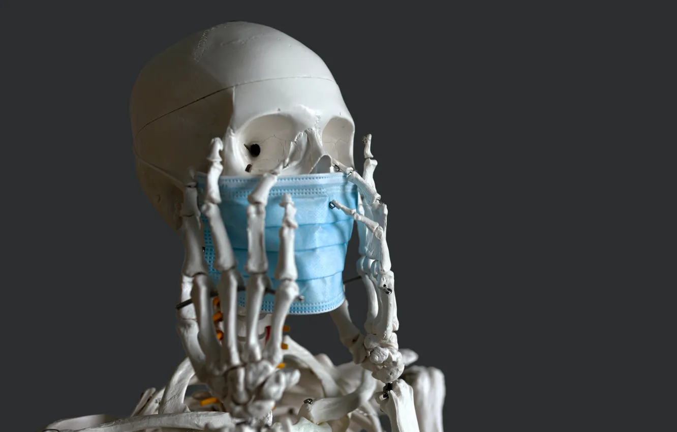 Photo wallpaper mask, skeleton, virus