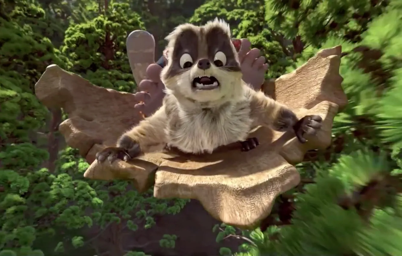 Photo wallpaper forest, animal, animated film, raccoon, animated movie, StudioCanal, The Son of Bigfoot