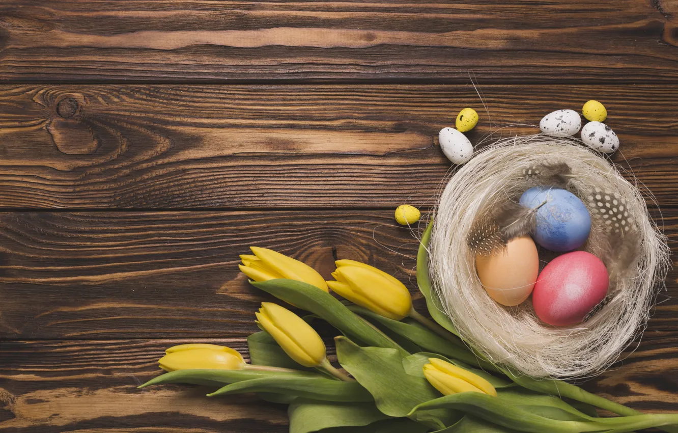 Photo wallpaper flowers, holiday, eggs, Easter, socket, tulips