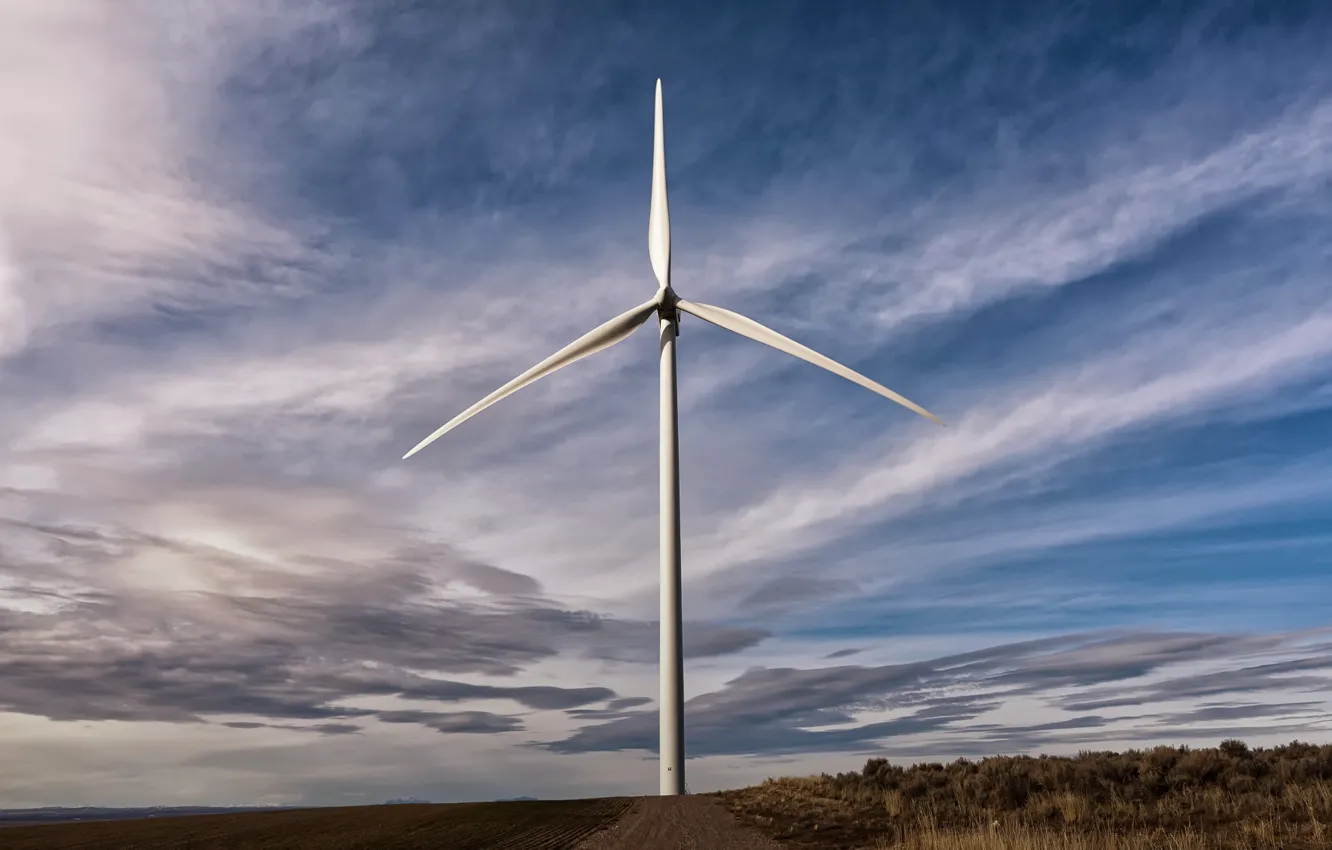 Photo wallpaper field, the sky, windmills