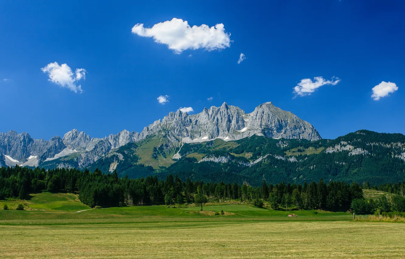 Photo wallpaper forest, mountains, Austria, Alps, meadow, Austria, Alps, mountain Wilder Kaiser