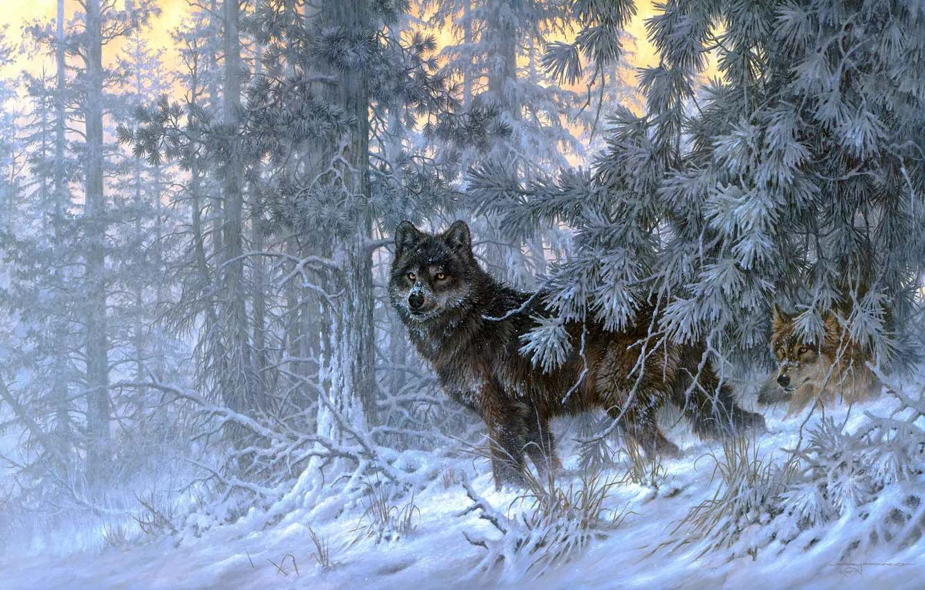 Photo wallpaper winter, frost, forest, look, light, snow, branches, nature