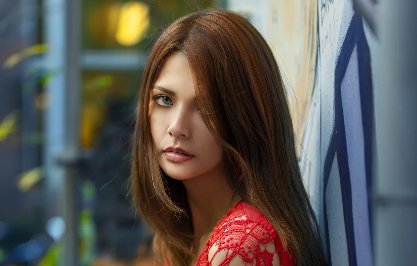 Photo wallpaper look, girl, wall, portrait, brown hair, Arnie Chou