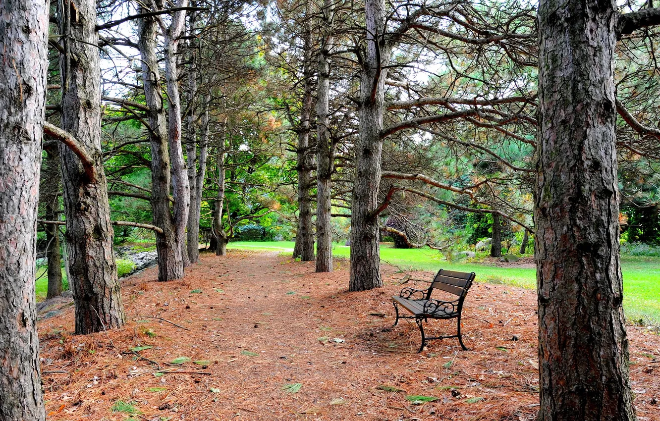 Photo wallpaper the city, Park, bench