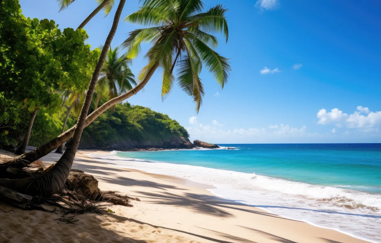 Photo wallpaper beaches, sand, palm trees