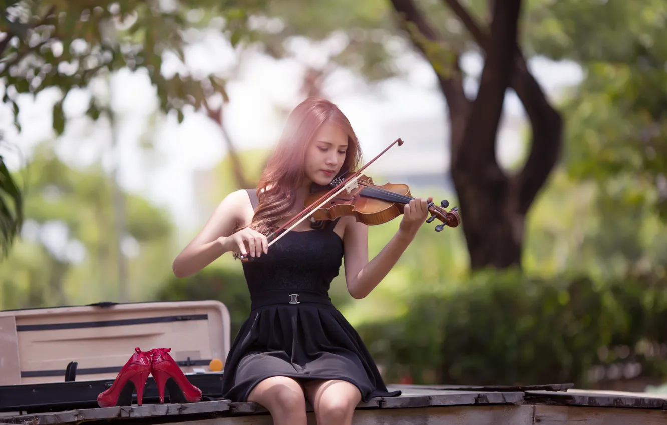Photo wallpaper girl, violin, dress, Asian