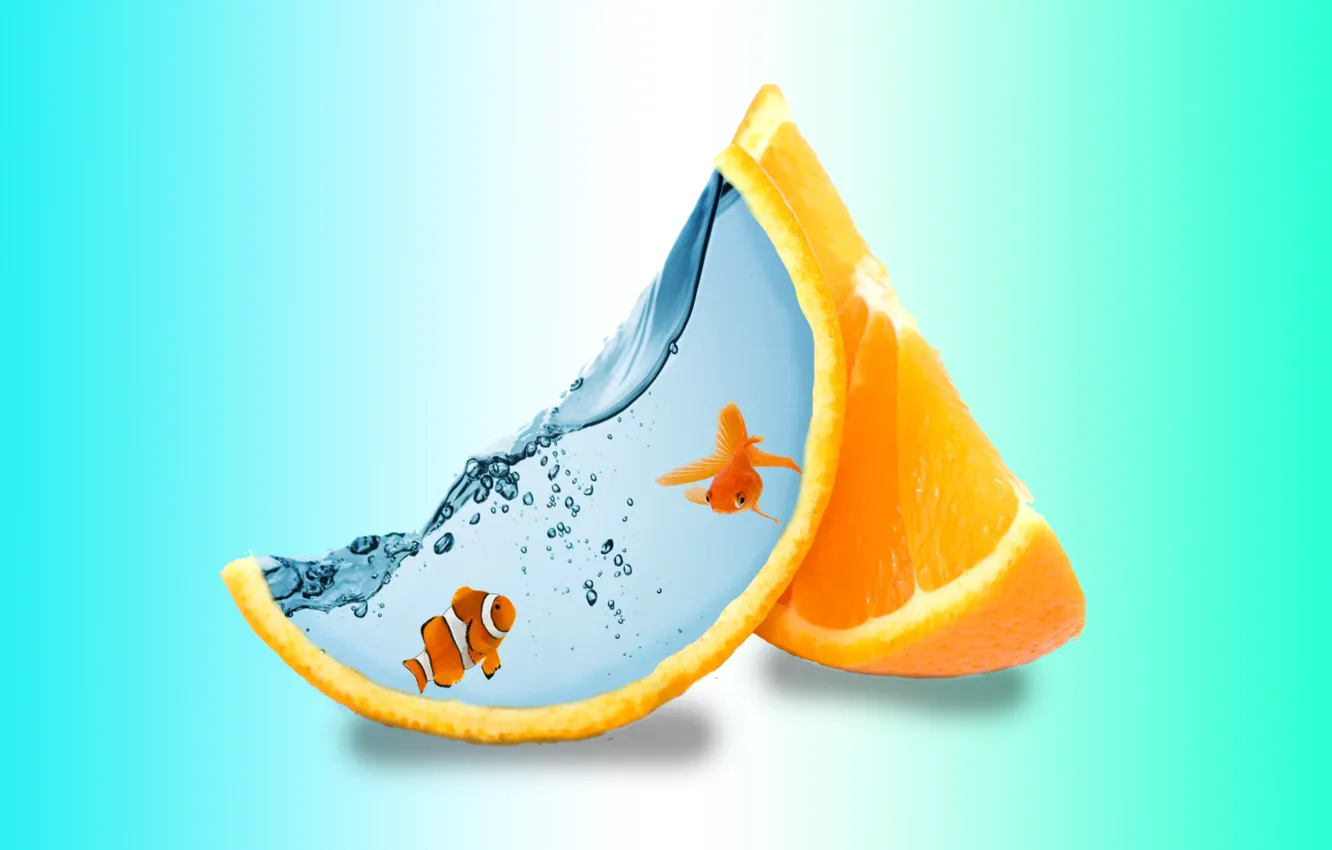 Photo wallpaper water, water, orange wedges, creative art, two fish, creative art, two fish, orange slices