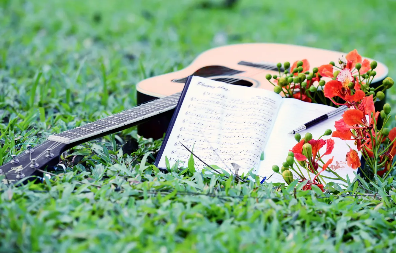 Photo wallpaper notes, music, guitar