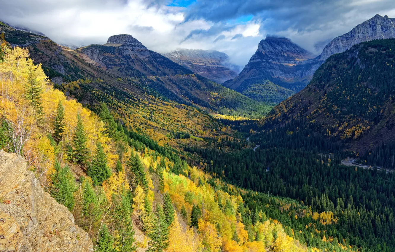 Photo wallpaper autumn, forest, mountains, the slopes