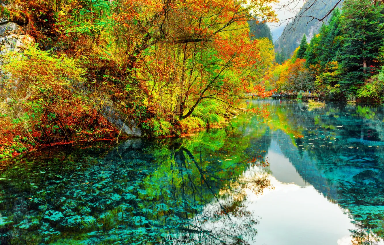 Photo wallpaper trees, river, China, China, Jiuzhai valley national Park