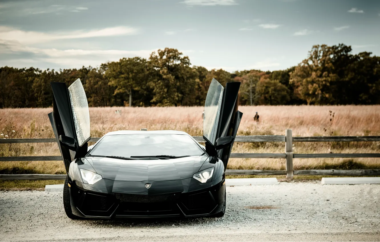 Photo wallpaper field, the sky, clouds, trees, black, lamborghini, black, aventador