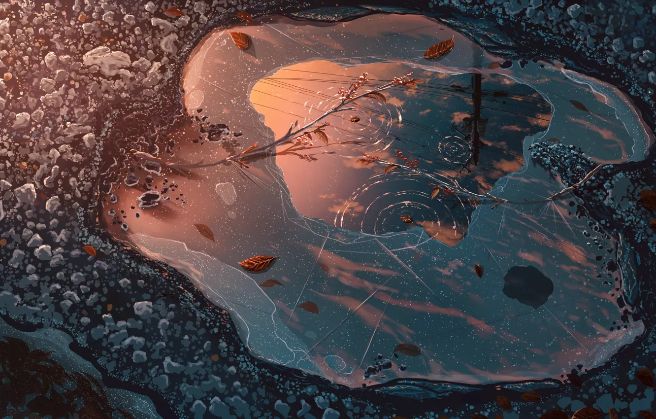 Photo wallpaper branches, reflection, puddle, power lines