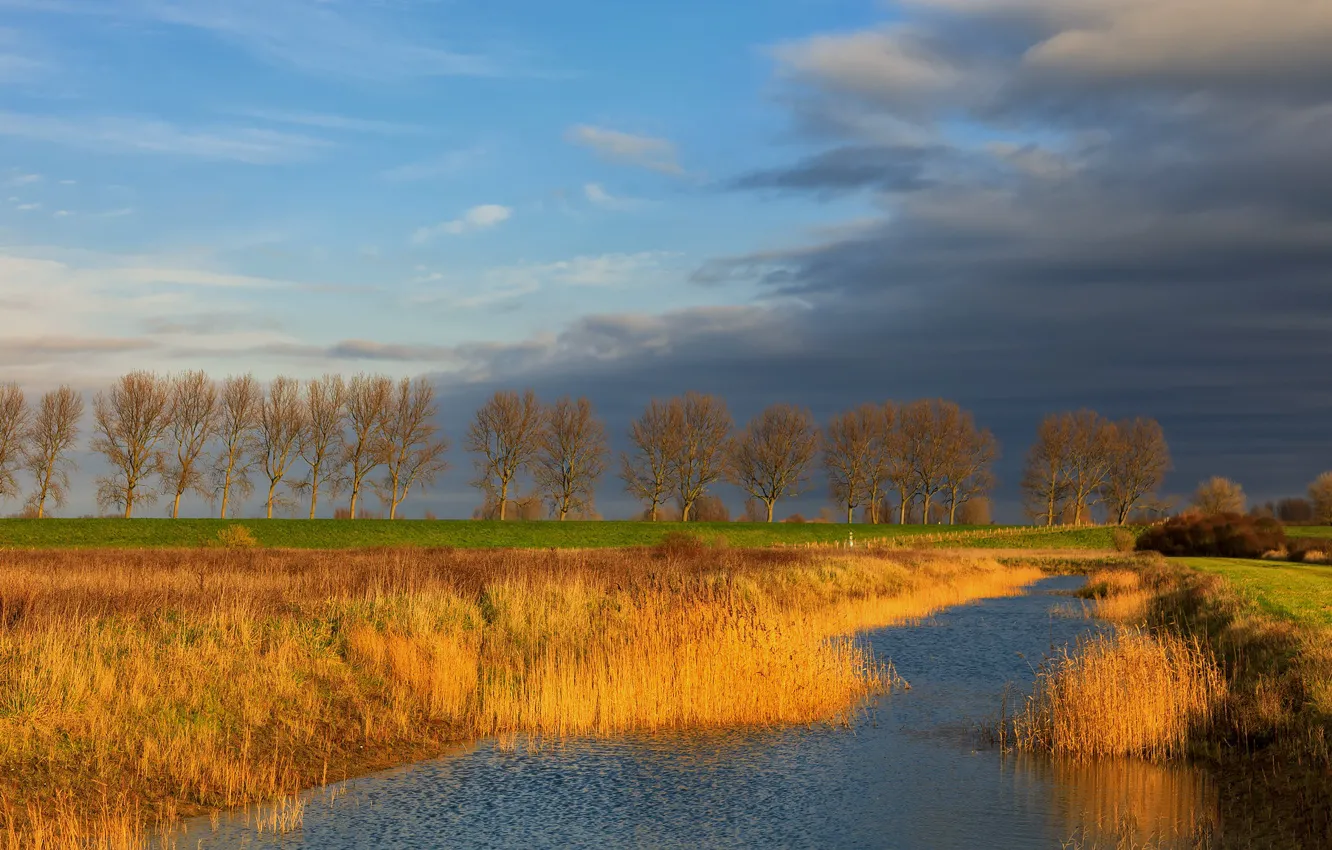 Photo wallpaper autumn, the sky, trees, channel