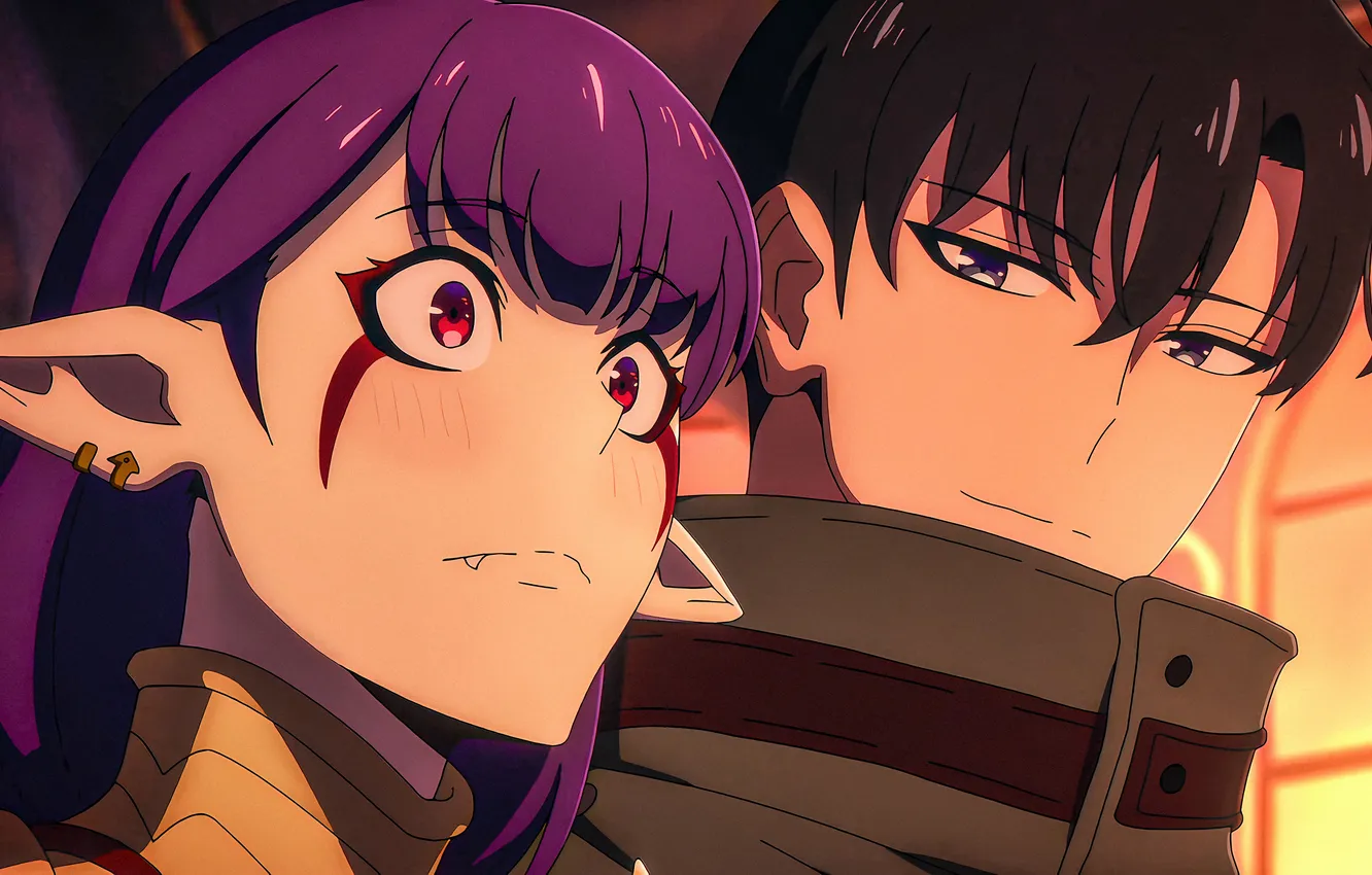 Photo wallpaper look, girl, elf, surprise, anime, armor, anime, high quality