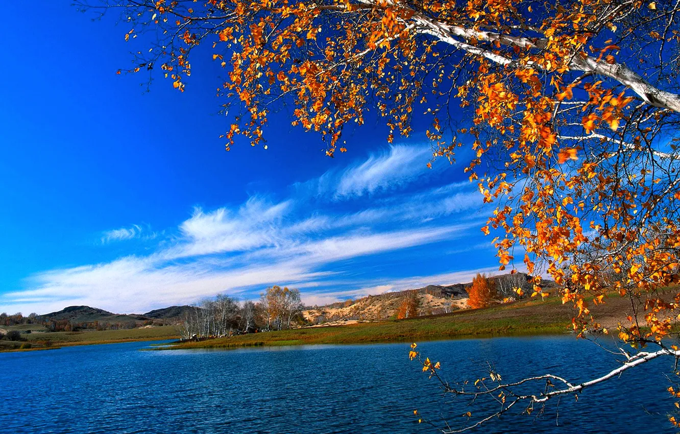 Photo wallpaper autumn, the sky, leaves, clouds, landscape, river, tree