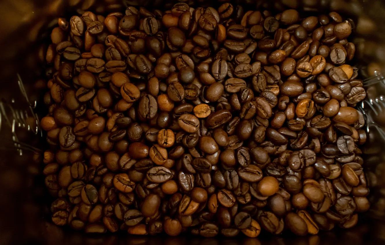 Photo wallpaper glass, macro, coffee, a lot, coffee beans