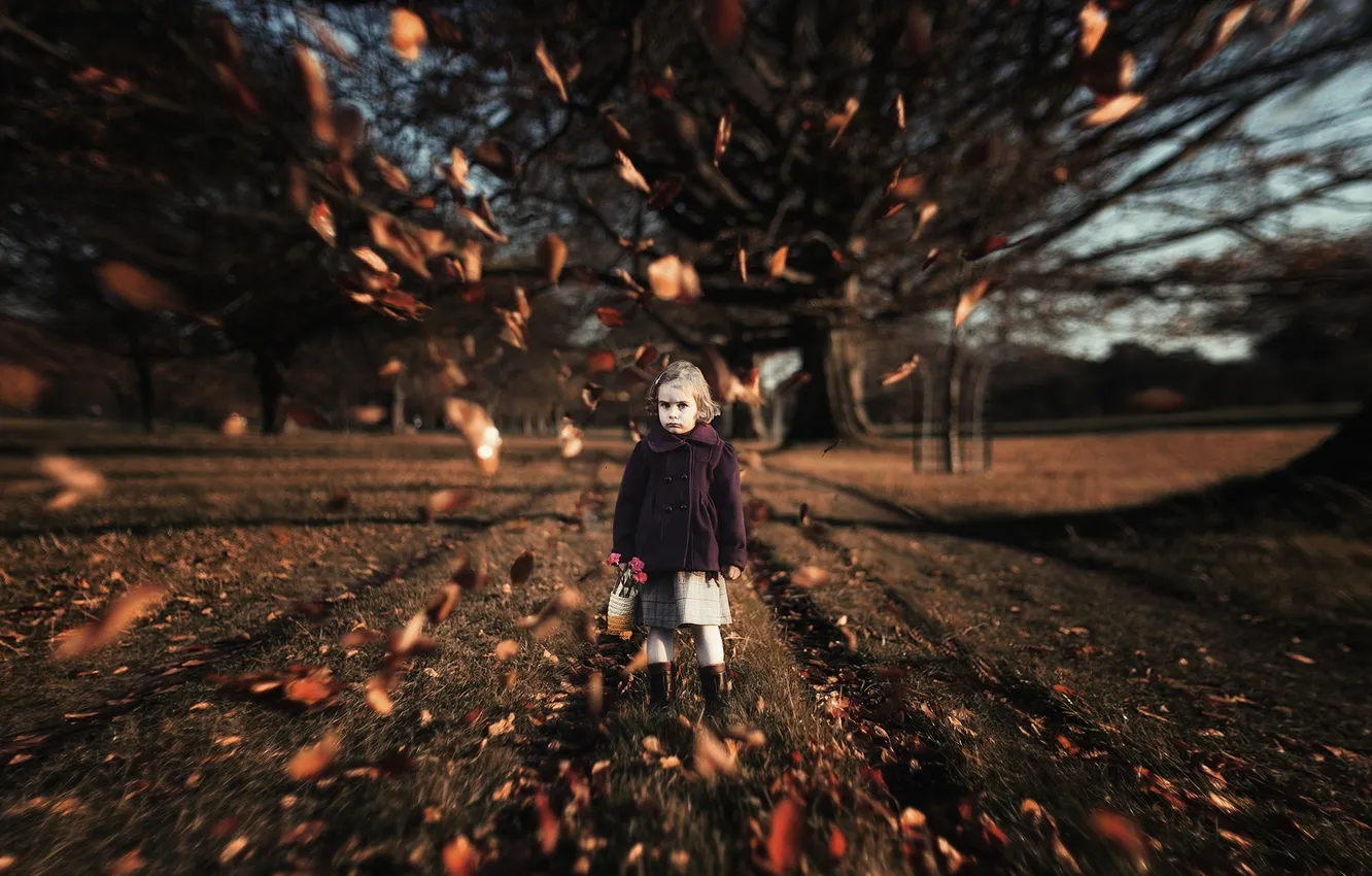 Photo wallpaper leaves, blur, girl