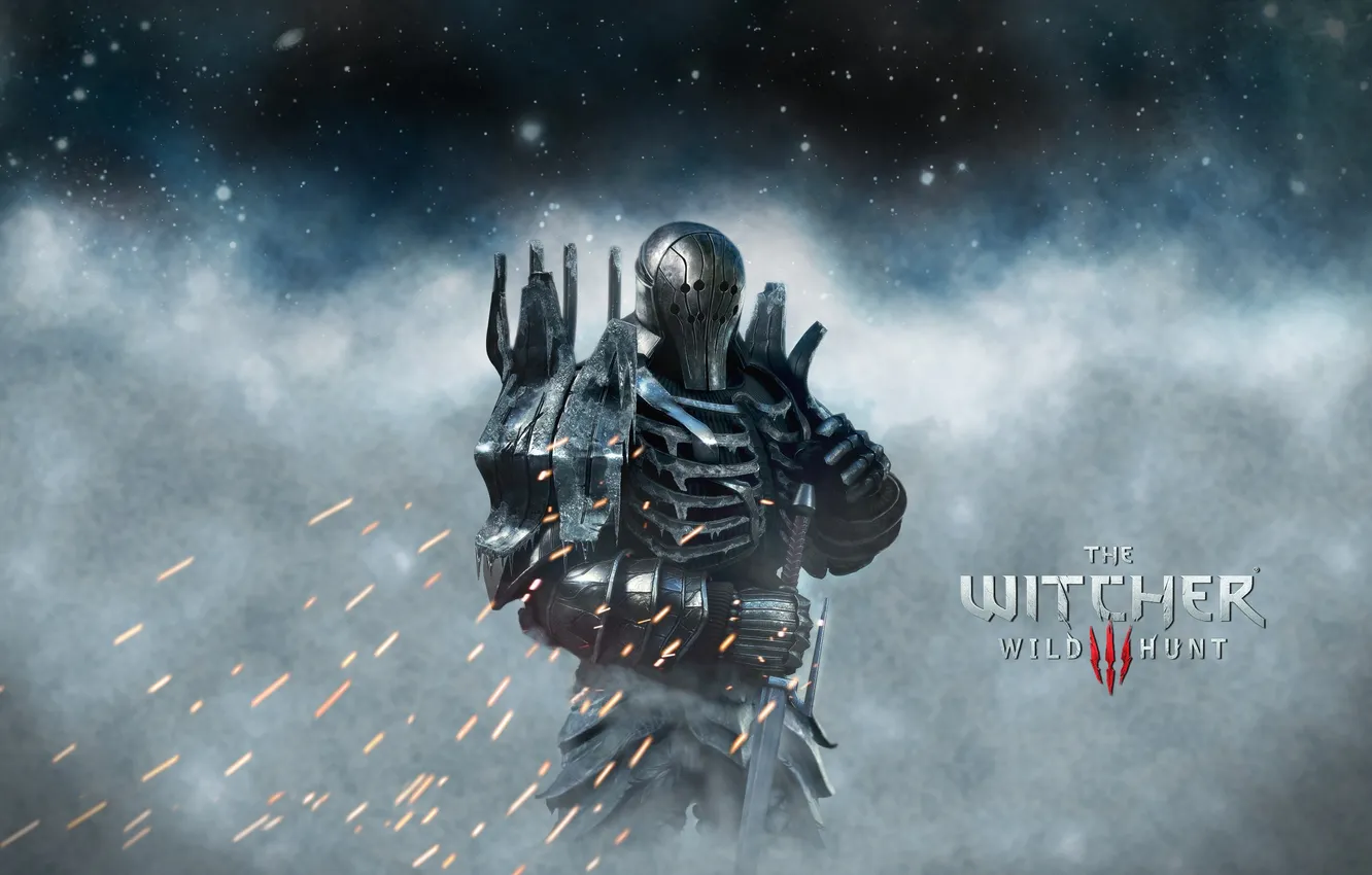 Photo wallpaper sword, armor, CD Projekt RED, The Witcher 3: Wild Hunt, The Witcher 3: Wild Hunt