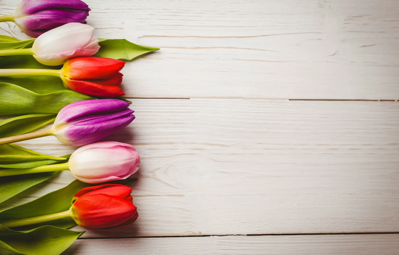 Photo wallpaper flowers, bouquet, colorful, tulips, red, white, wood, flowers