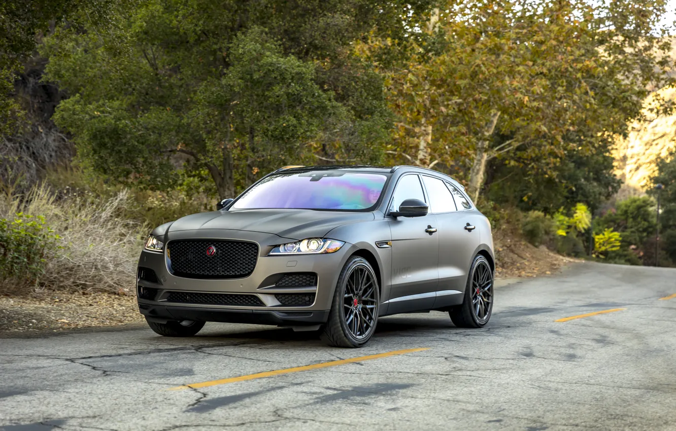 Photo wallpaper Jaguar, Road, F-Pace