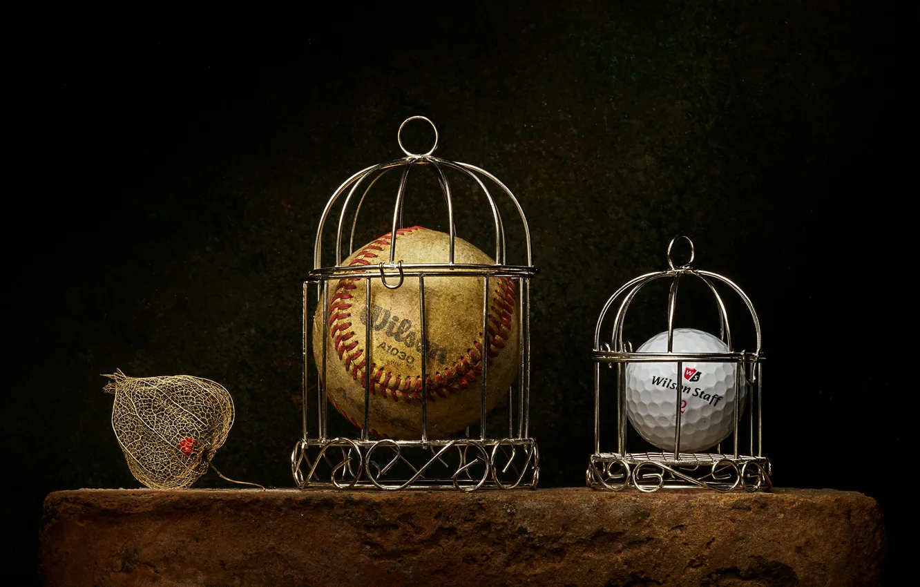Photo wallpaper the ball, still life, the ball, cell