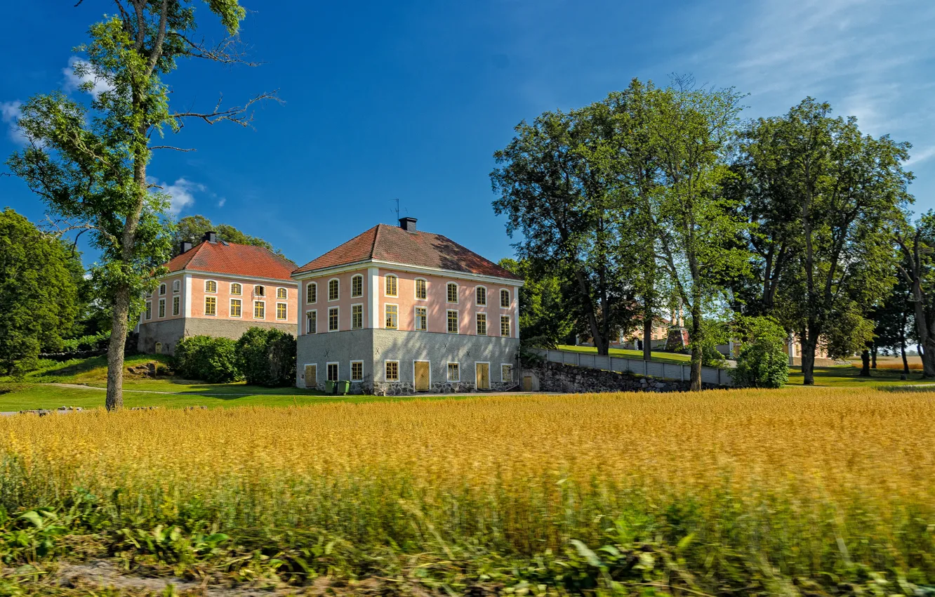 Photo wallpaper field, trees, flowers, building, home, spring, may, Nature