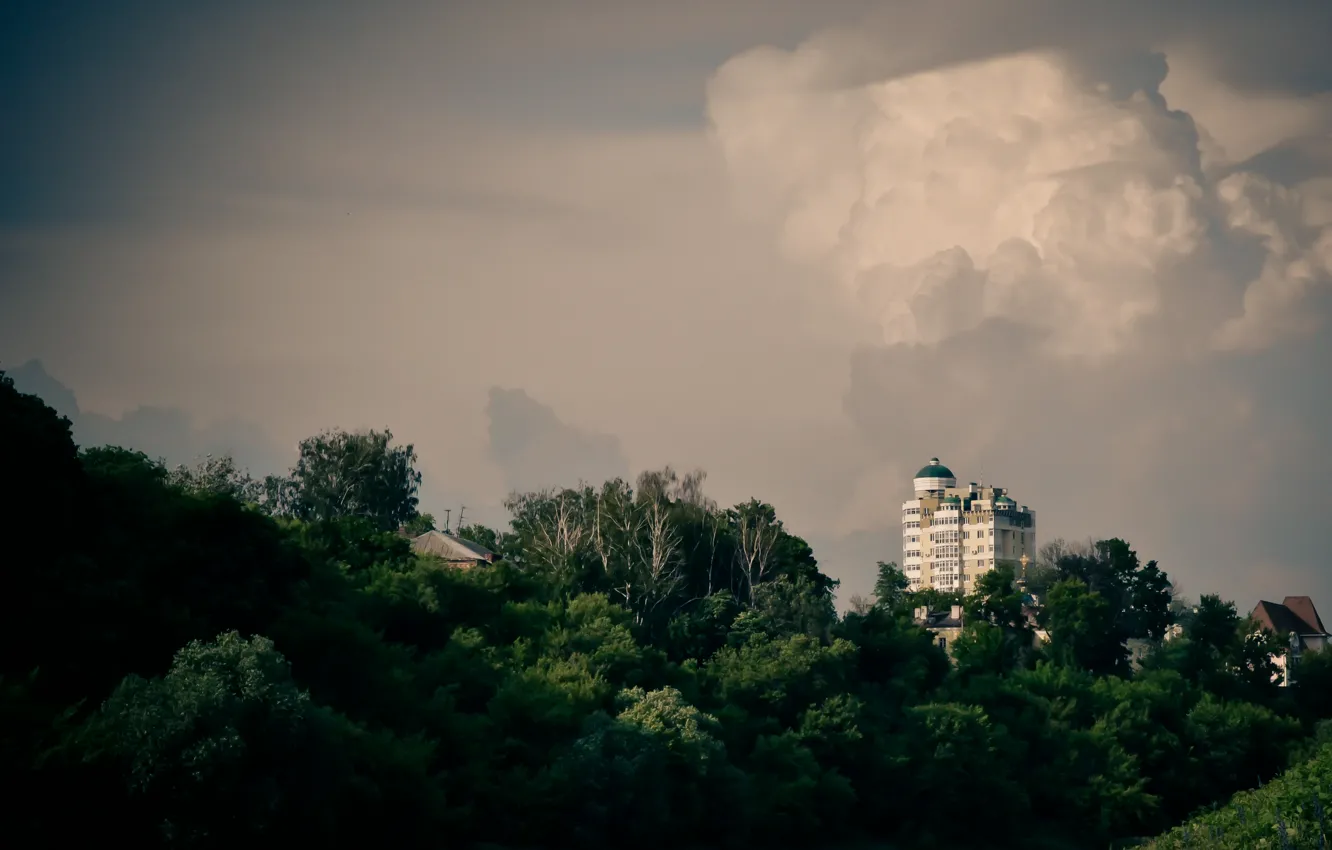 Photo wallpaper greens, landscape, nature, green, eagle, skyscrapers, the city of eagle, promenade.