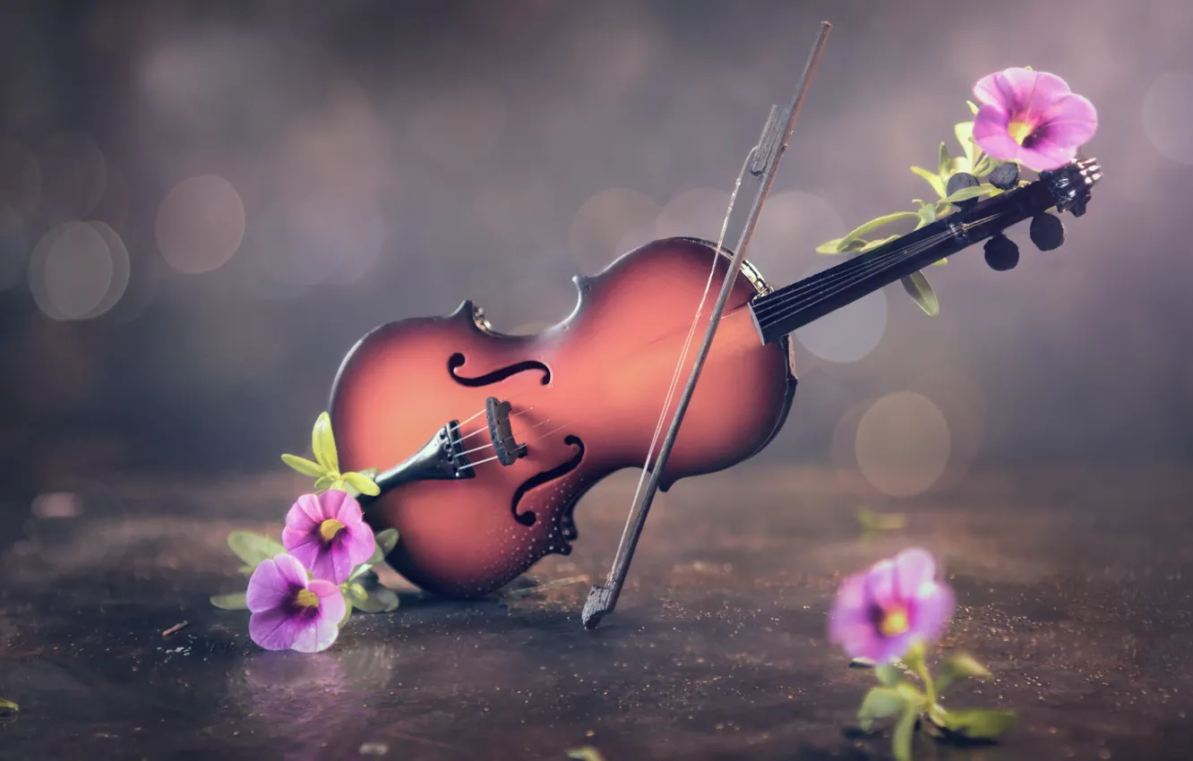 Photo wallpaper flowers, background, violin