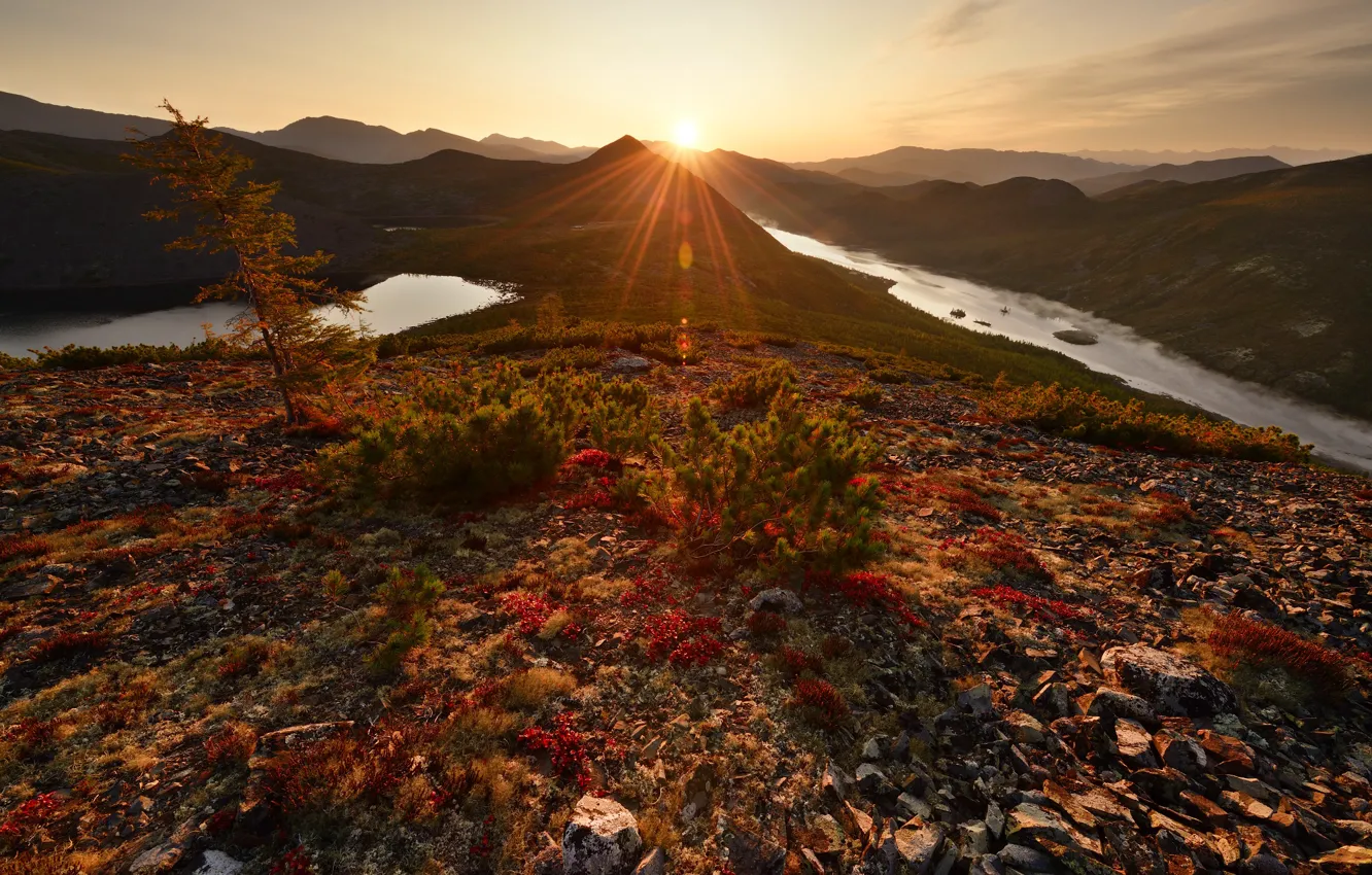 Photo wallpaper autumn, the sun, river, stones, shore, needles
