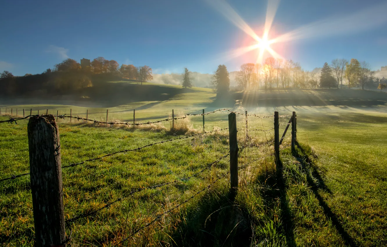 Photo wallpaper fence, trees, field, Germany, Unterthingau, Elevation of Beilstein, morning