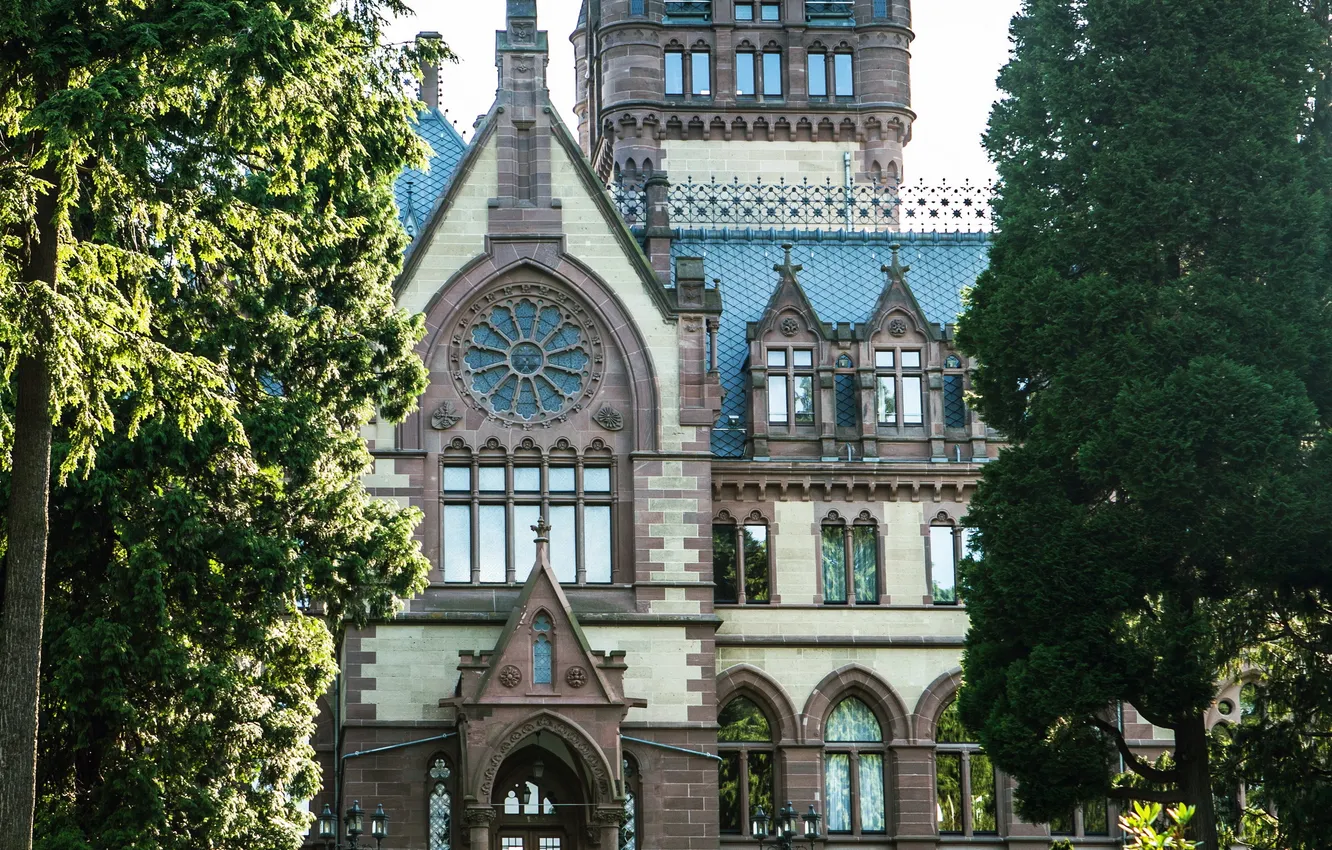 Photo wallpaper trees, the city, photo, castle, Germany, Dragon castle, King winter