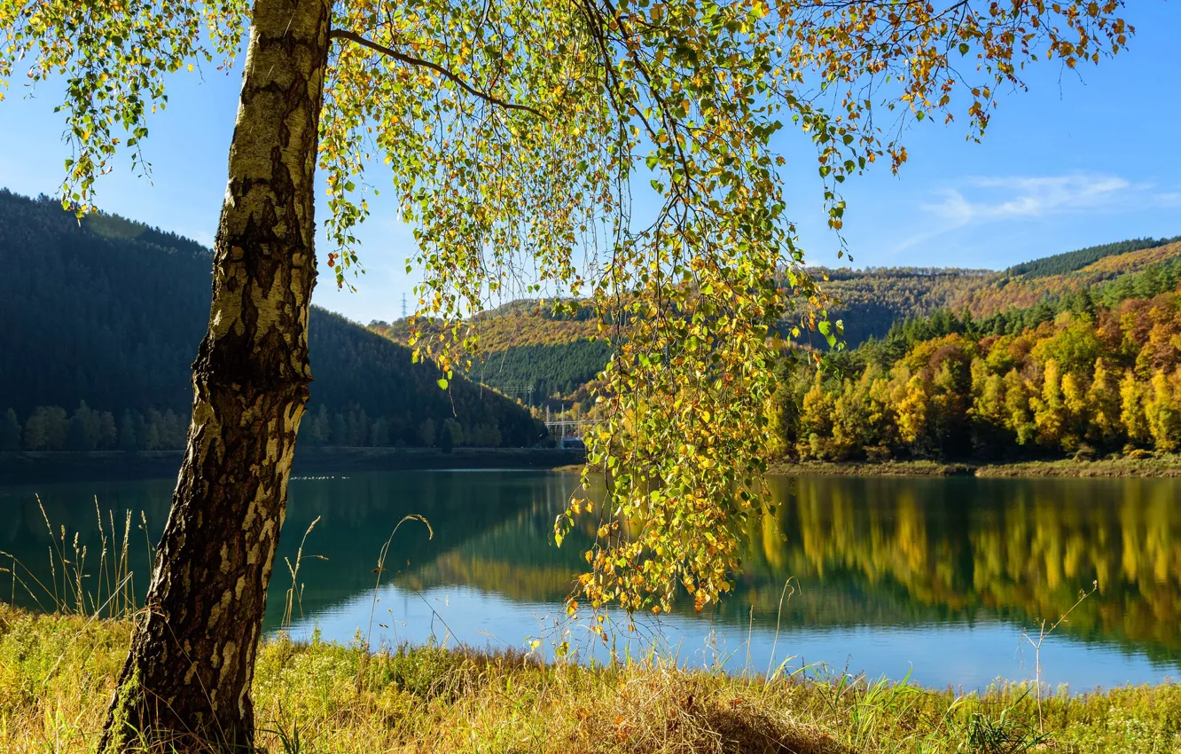 Photo wallpaper autumn, trees, lake, Belgium