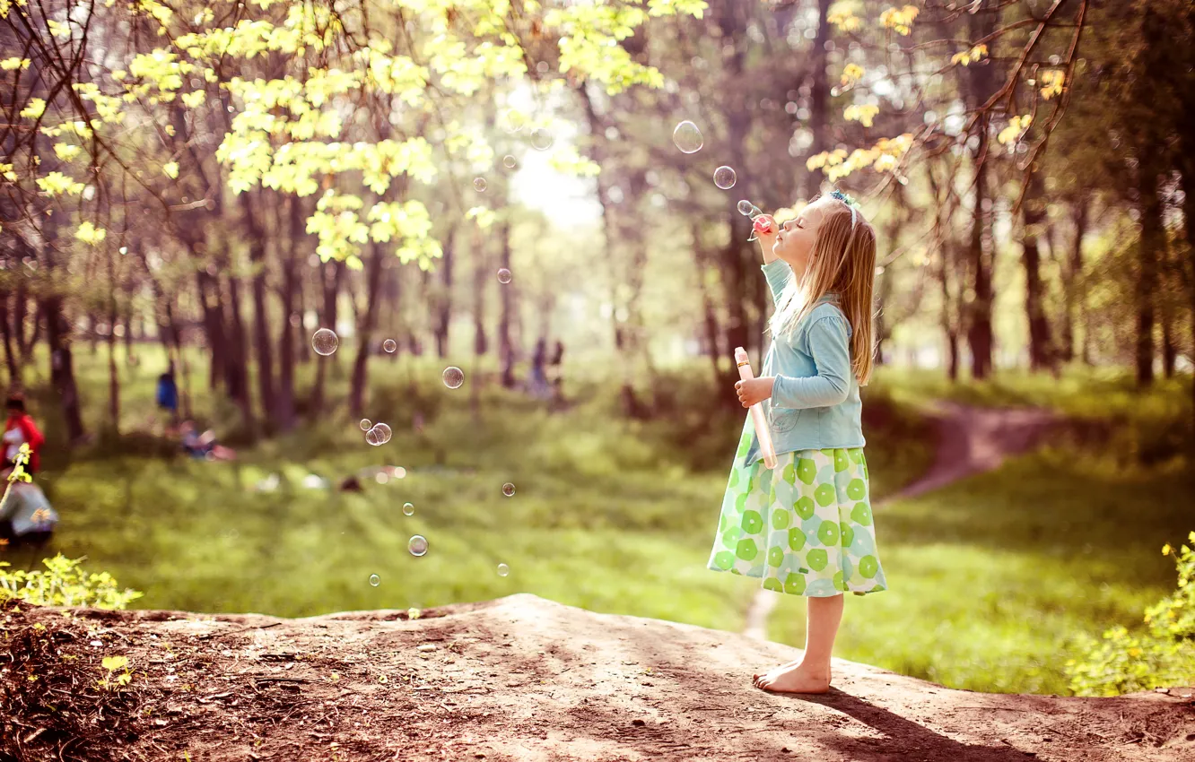Photo wallpaper summer, light, trees, branches, Park, stay, glade, foliage