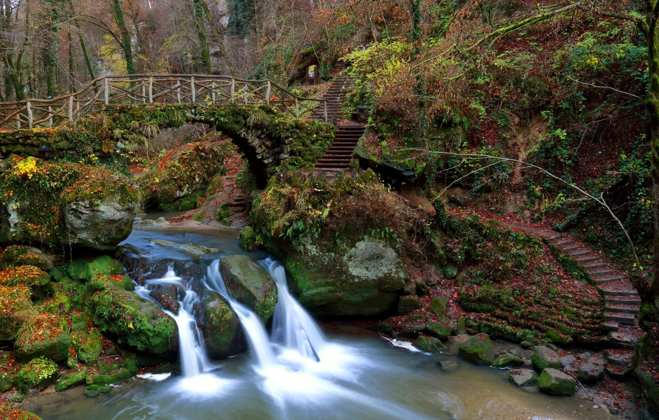 Photo wallpaper autumn, forest, leaves, trees, bridge, stream, stones, waterfall