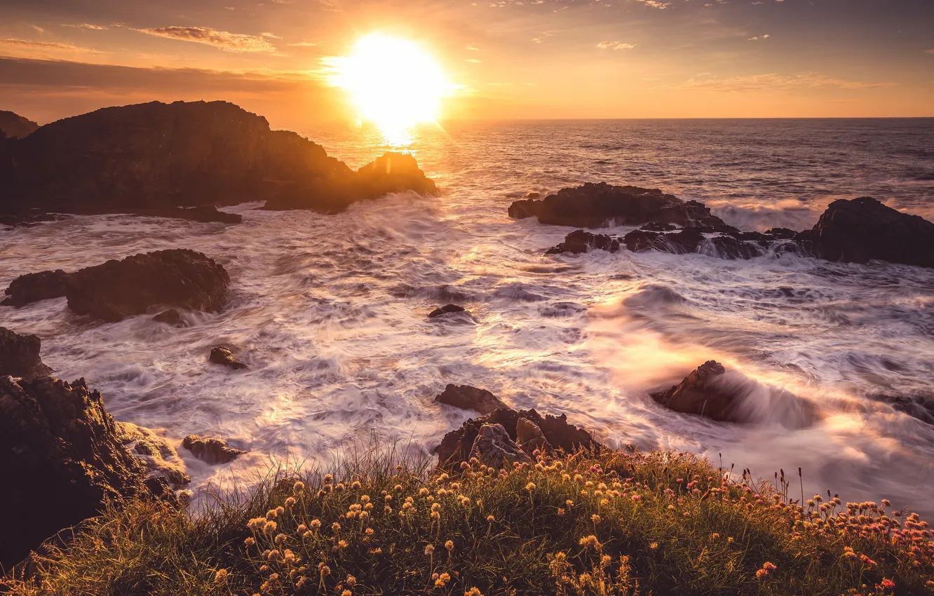 Photo wallpaper sea, wave, the sun, rays, sunset, flowers, stones, the ocean
