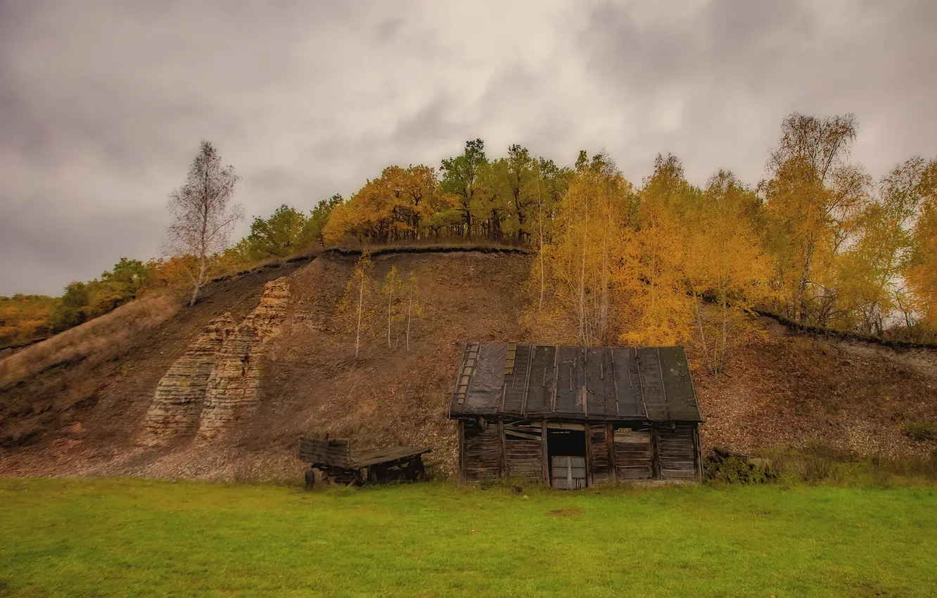 Photo wallpaper field, autumn, forest, mountains, overcast, hills, house
