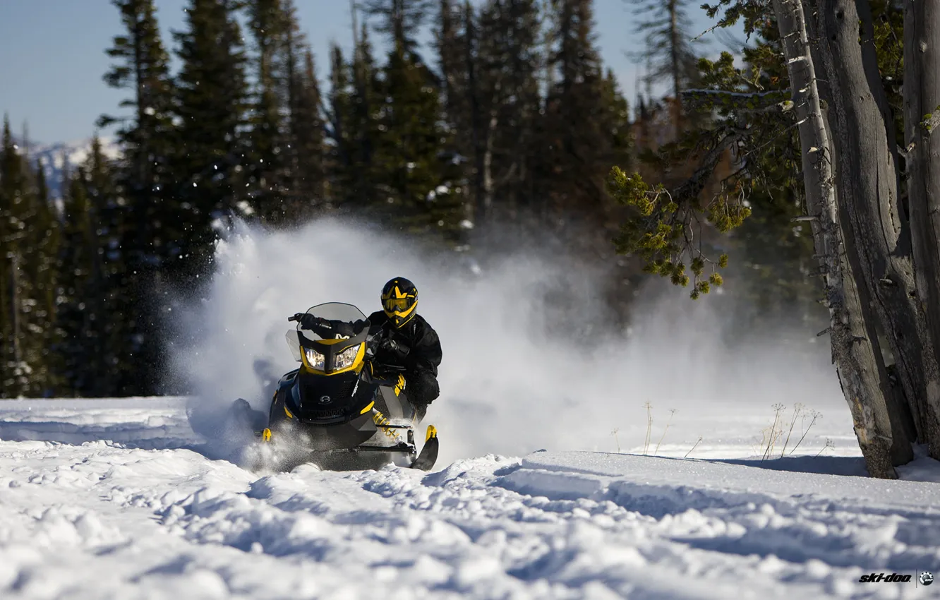 Photo wallpaper forest, snow, trees, snowmobile, snowmobile, ski-doo
