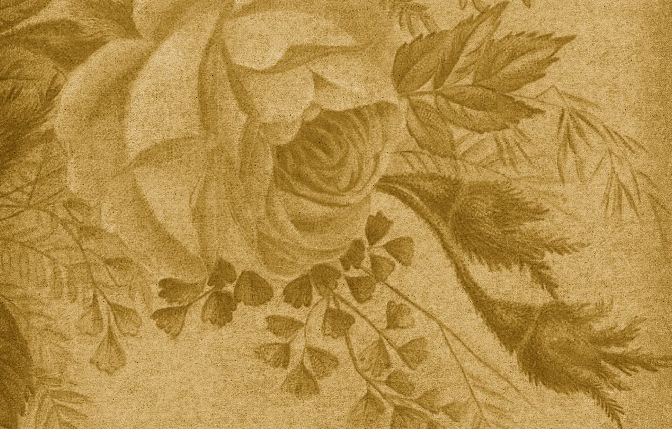 Photo wallpaper rose, texture, vintage