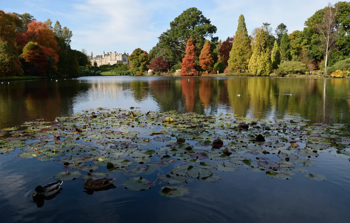 Photo wallpaper autumn, castle, England, Lake, Autumn, lake, Castle, England