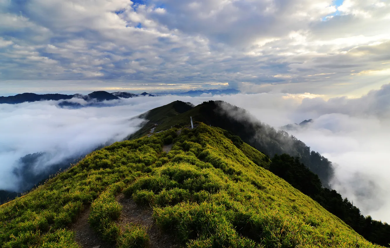 Photo wallpaper greens, grass, clouds, mountains, hills, height