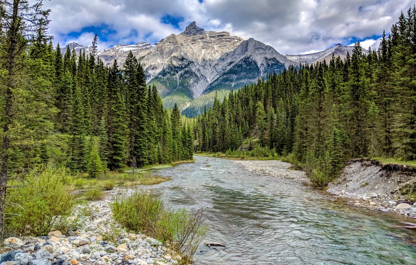 Photo wallpaper forest, the sky, clouds, trees, mountains, stones, rocks, Canada