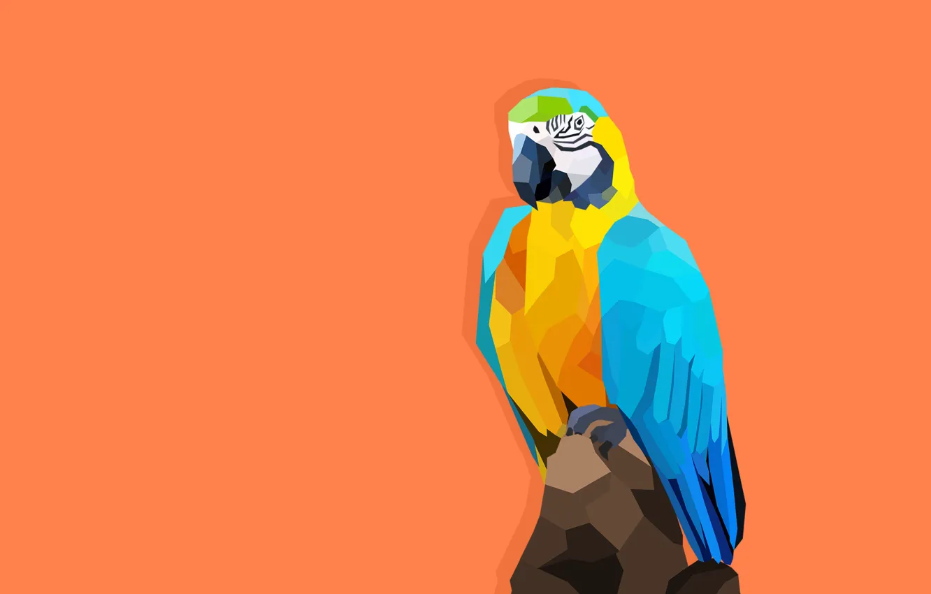 Photo wallpaper Wallpaper, figure, vector, parrot