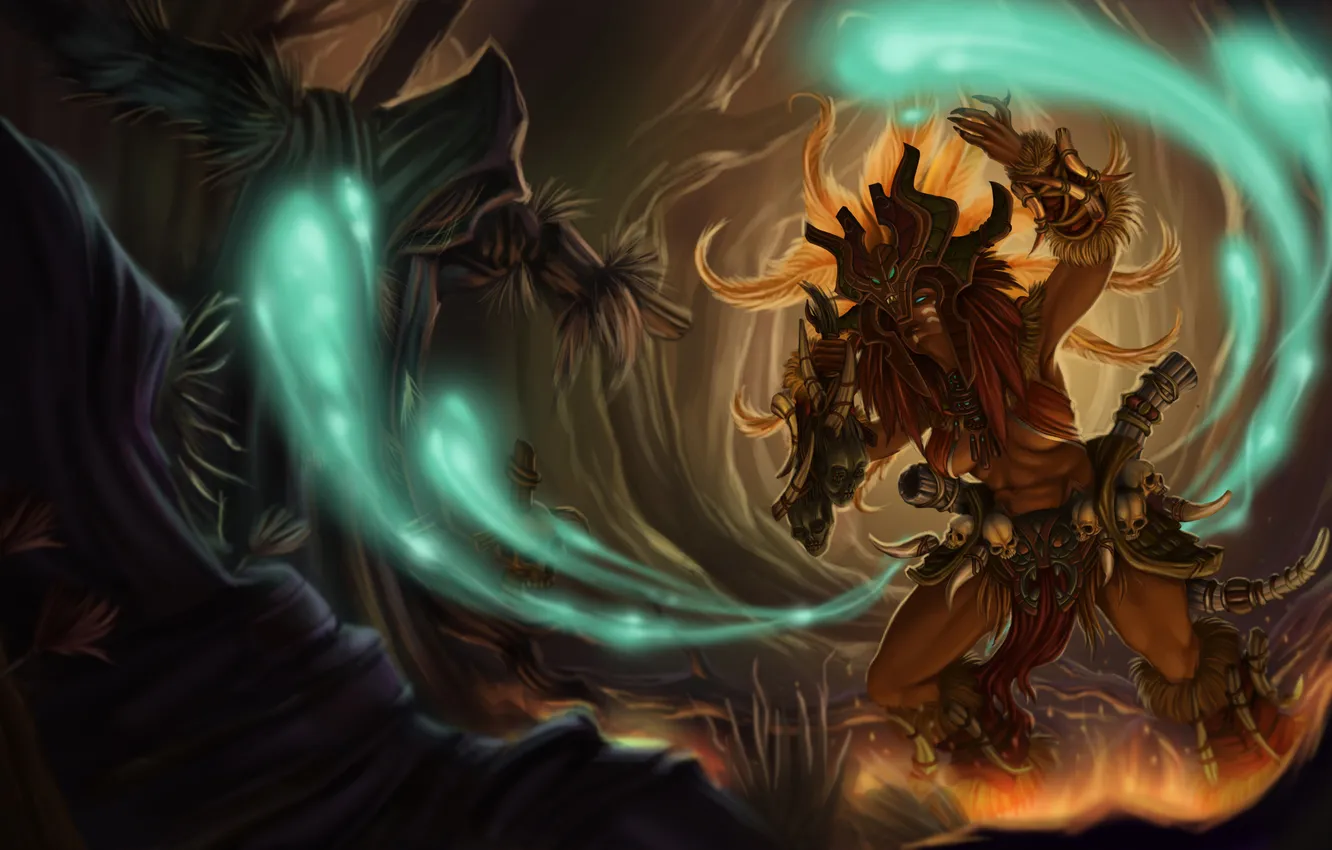 Photo wallpaper the sorcerer, rpg, diablo 3, witch doctor, reaper of souls