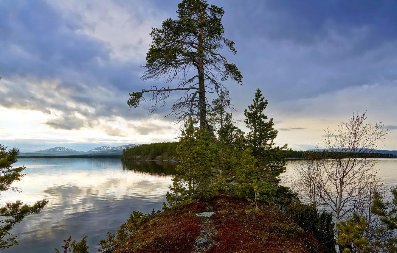 Photo wallpaper landscape, lake, tree